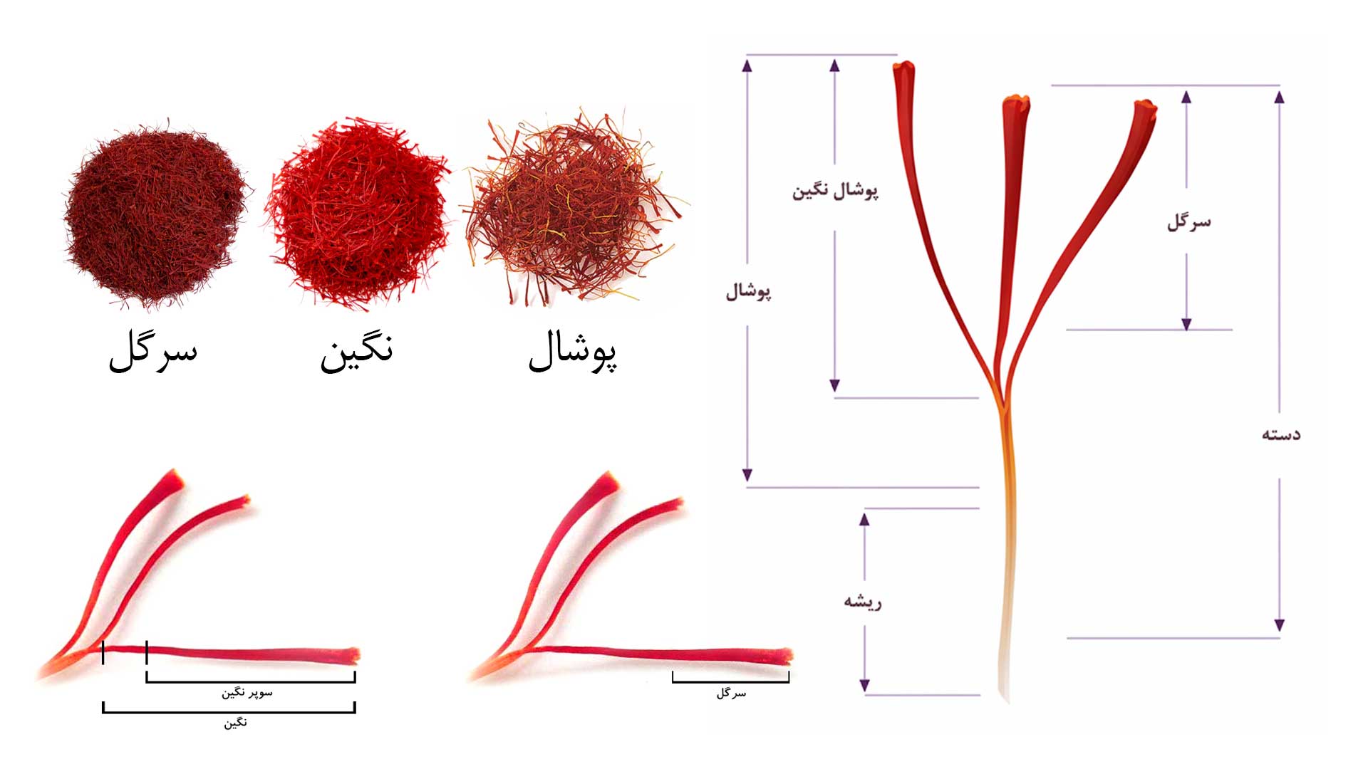 تفاوت انواع زعفران