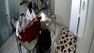 آزمایشگاه زعفران مشهد-زعفران خانواده
