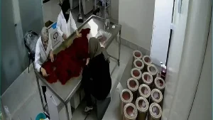 کسب و کار با 600 میلیون-زعفران خانواده
