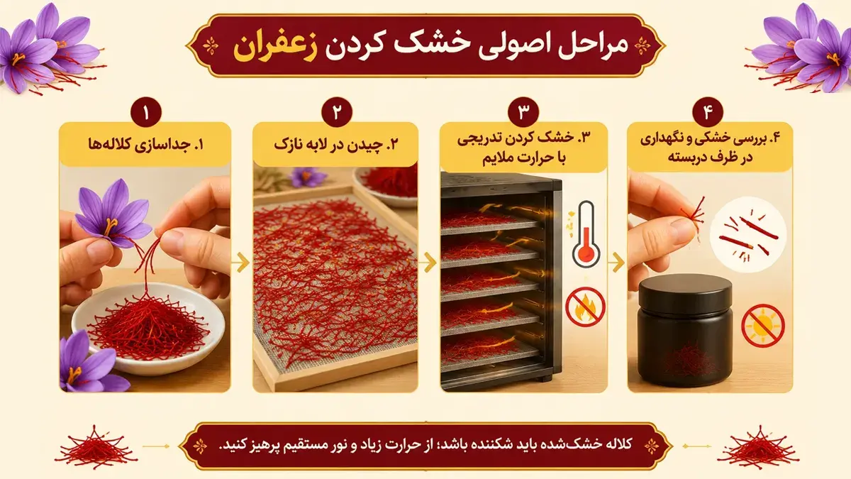نحوه خشک کردن زعفران-زعفران خانواده